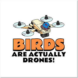 Drones Funny Drone conspiracy theory Posters and Art